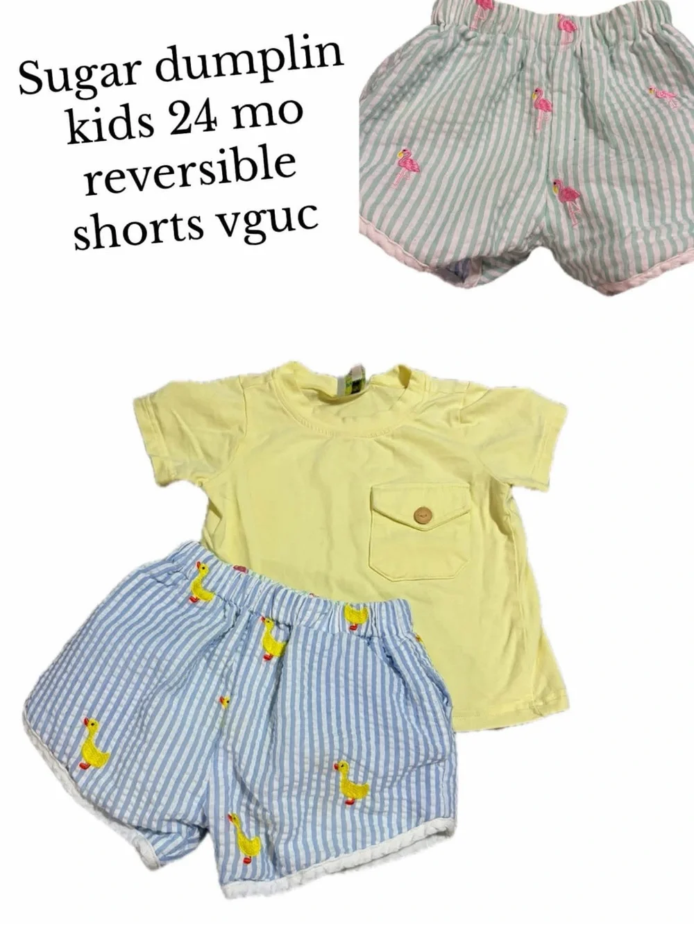 Sugar dumplin 24 month shorts & shirt set
